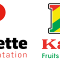 Pichette Alimentation / Karam Fruits & Légumes